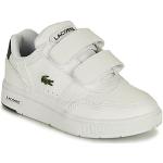 Hvide Lacoste Sneakers Hælhøjde op til 3 cm Størrelse 19 til Børn 