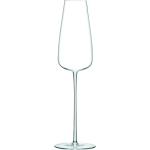 LSA Champagneglas i Glas Mundblæst 2 stk 
