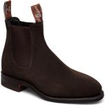 Macquarie G Suede Chocolate 3 Shoes Chelsea Boots Brown R.M. Williams