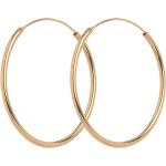 Mini Plain Hoops 20 Mm Accessories Jewellery Earrings Hoops Gold Pernille Corydon