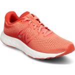 New Balance 520V8 Sport Sport Shoes Running Shoes Coral New Balance