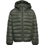 Outerwear Sport Jackets & Coats Puffer & Padded Green EA7