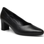 Sorte Klassiske Gabor Højhælede sko til Damer 