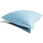 Queen Anne 420018 feather pillow Blue 50x60