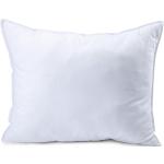Queen Anne 420445 syntheticpillow medium White One size