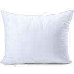 Queen Anne 420446 syntheticpillow high White One size