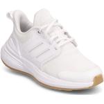 Hvide Sporty adidas Performance Low-top sneakers 
