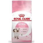 10 kg Royal Canin Kitten - Kattefoder
