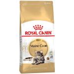 Royal Canin Breed 10 kg Maine Coon Adult Royal Canin - Kattefoder
