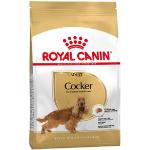 Royal Canin Breed 12kg Cocker Adult Royal Canin - Hundefoder