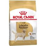 Royal Canin Breed 2x12 kg Labrador Adult Retriever Royal Canin - Hundefoder