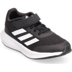 Sporty adidas Performance Low-top sneakers 