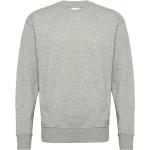 Sdlenz Crew Sw Tops Sweatshirts & Hoodies Sweatshirts Grey Solid
