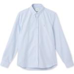 Lyseblå Elegant Forét Oxford skjorter i Bomuld Størrelse XXL med Striber til Herrer 