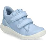 Blå Ecco Low-top sneakers til Børn på udsalg 