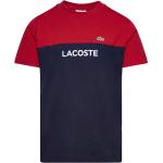 Flerfarvede Lacoste T-shirts Størrelse XL 