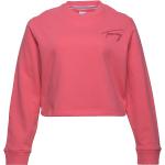 Tjw Crv Tommy Signature Crew Tommy Jeans Pink