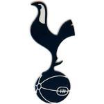 Official Tottenham Hotspur FC 3D Fridge Magnet