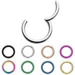 Treuheld® | SEGMENT Clicker PIERCING - 29 colours & sizes - HELIX SEPTUM tragus ear, nose, lip - SEGMENTRING folding clasp - SILVER, BLACK, GOLD, ROSE GOLD surgical steel RING