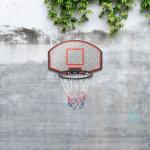 VidaXL Basketkurve i Plastik 